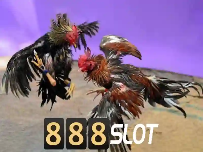 Giới thiệu về 888slot