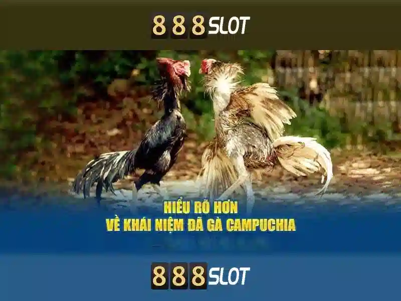 888slot – Sàn chơi slot trực tuyến hàng đầu