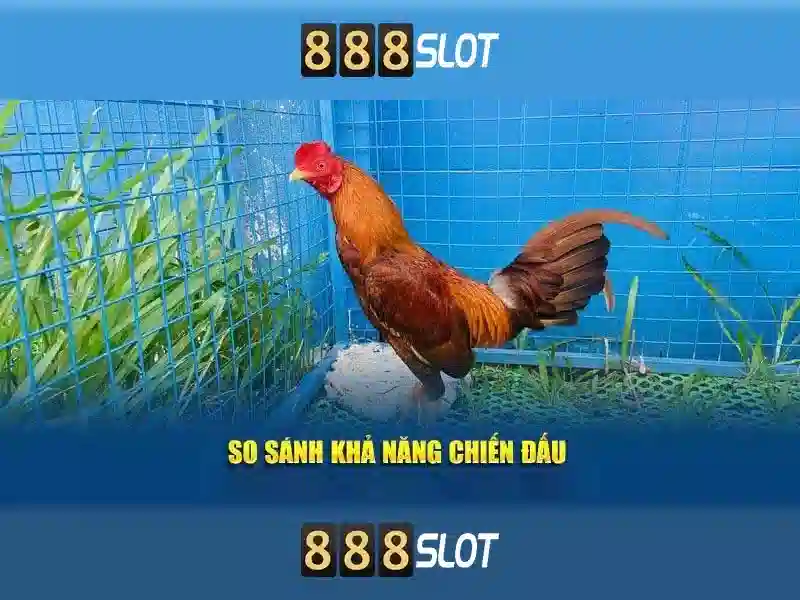 Giao diện và trải nghiệm người dùng