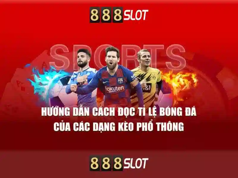 Kết luận