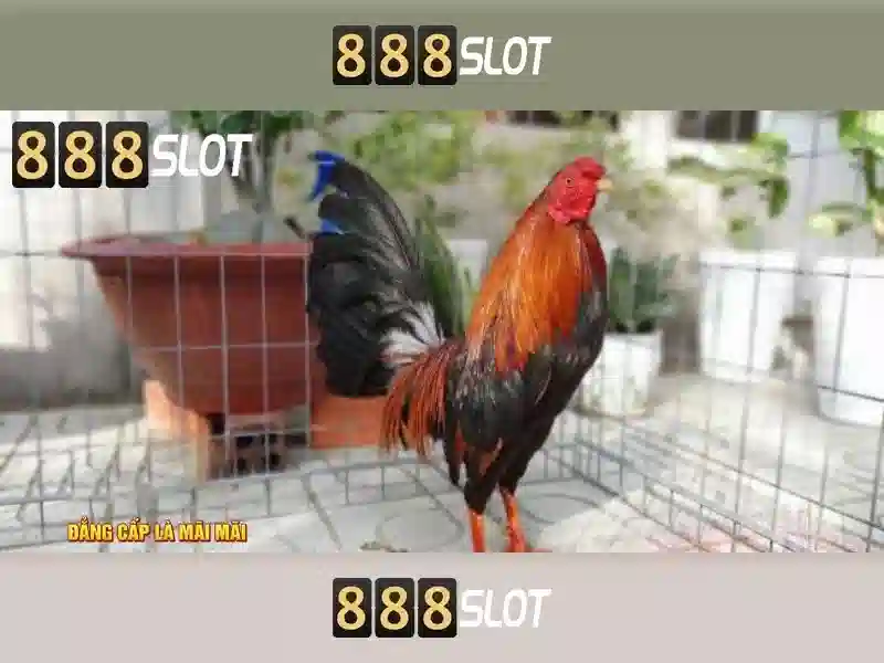 888slot: Đánh giá nền tảng casino trực tuyến