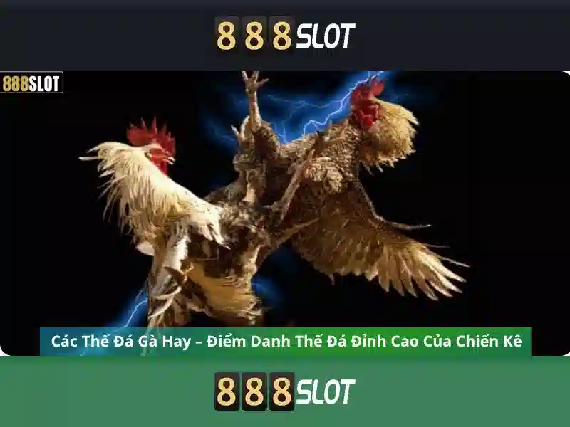 888slot: Trải nghiệm giải trí và trò chơi slot trực tuyến