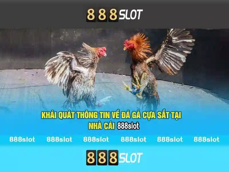 888slot: Nền tảng slot trực tuyến nổi tiếng tại Việt Nam