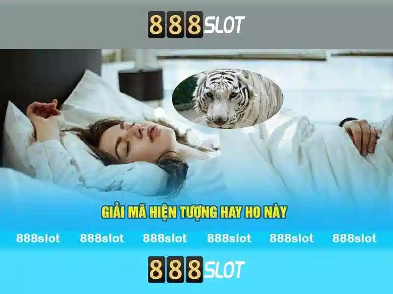 888slot - Tổng quan về nền tảng máy đánh bạc trực tuyến