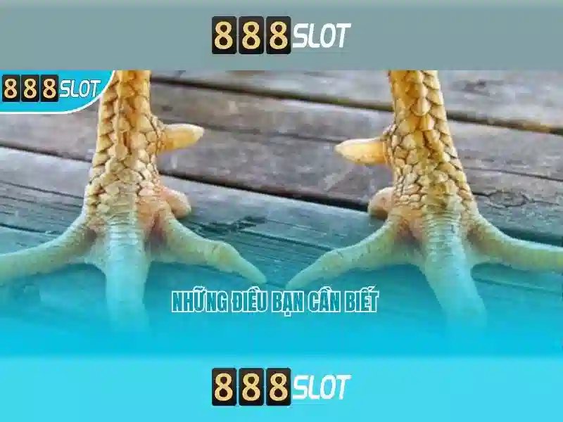 888slot-baccarat-banner