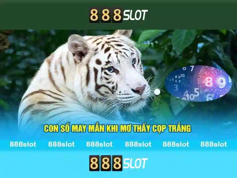 Tập hợp trò chơi đa dạng