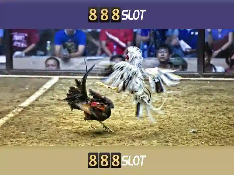 888slot: Tổng quan và trải nghiệm người chơi tại nền tảng slot trực tuyến