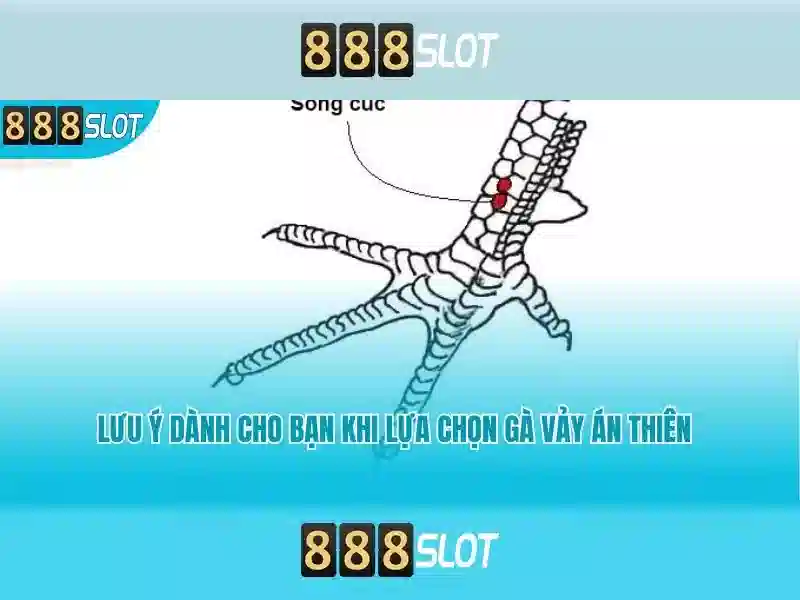 Triet ly kinh doanh cua Luu Dinh San tai 888slot    