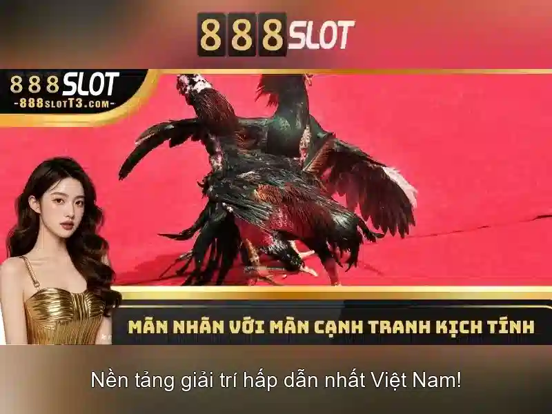 Tại sao 888slot được ưa chuộng