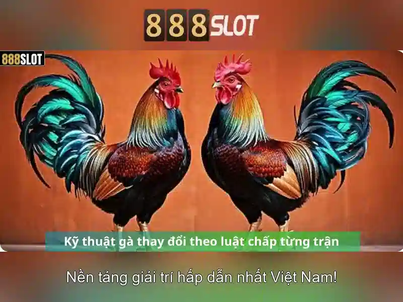 888slot - Đánh giá nền tảng máy xèng trực tuyến phổ biến