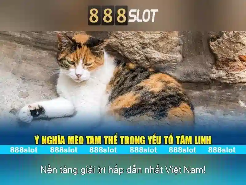 Các trò chơi và trải nghiệm