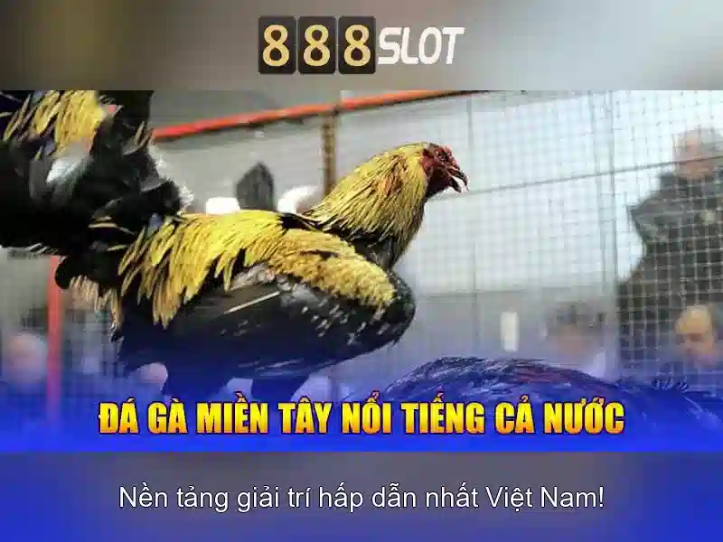 Cung cấp trò chơi đa dạng