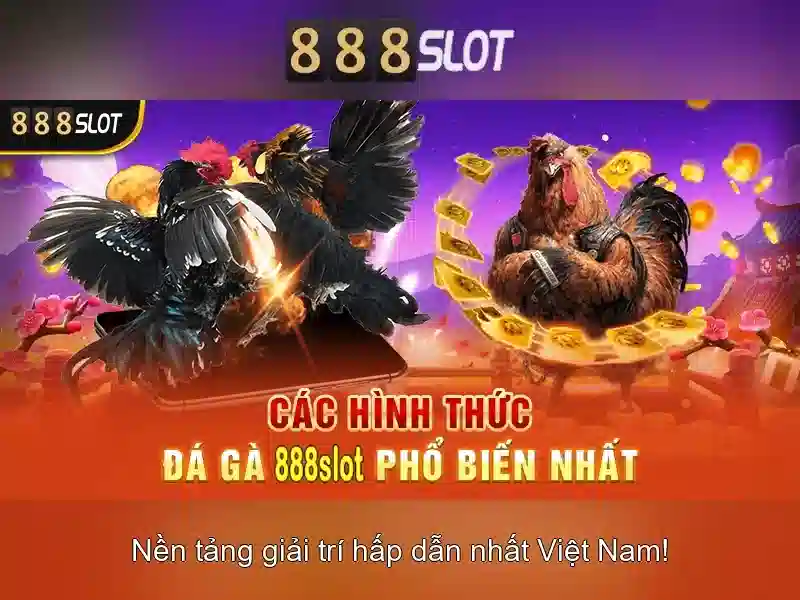 Trải nghiệm người dùng