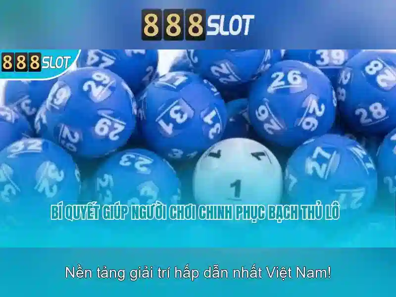 Giao diện người dùng và trải nghiệm di động