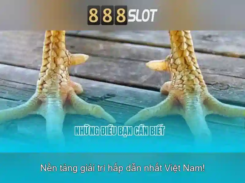 Chan dung Luu Dinh San chuyen gia 888slot    