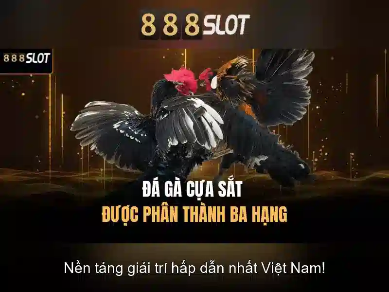 Đánh giá trải nghiệm người dùng