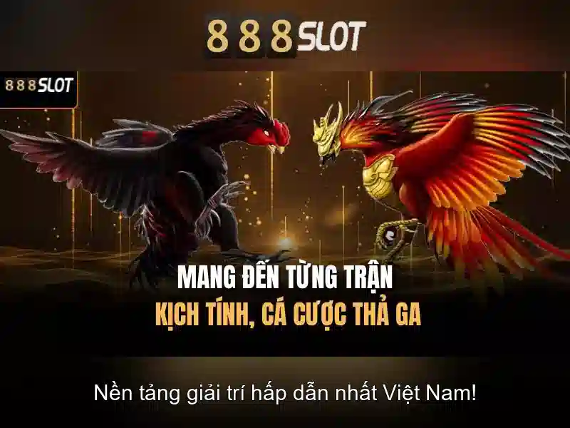 Giao diện và trải nghiệm người dùng